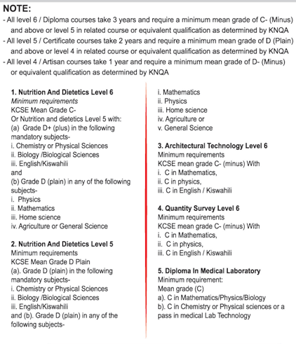 COURSE REQUIREMENTS